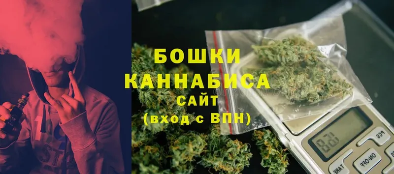 Шишки марихуана THC 21%  магазин продажи наркотиков  Почеп 